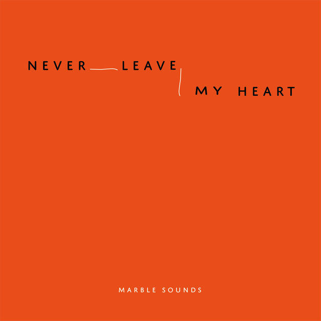 Couverture de Never Leave My Heart