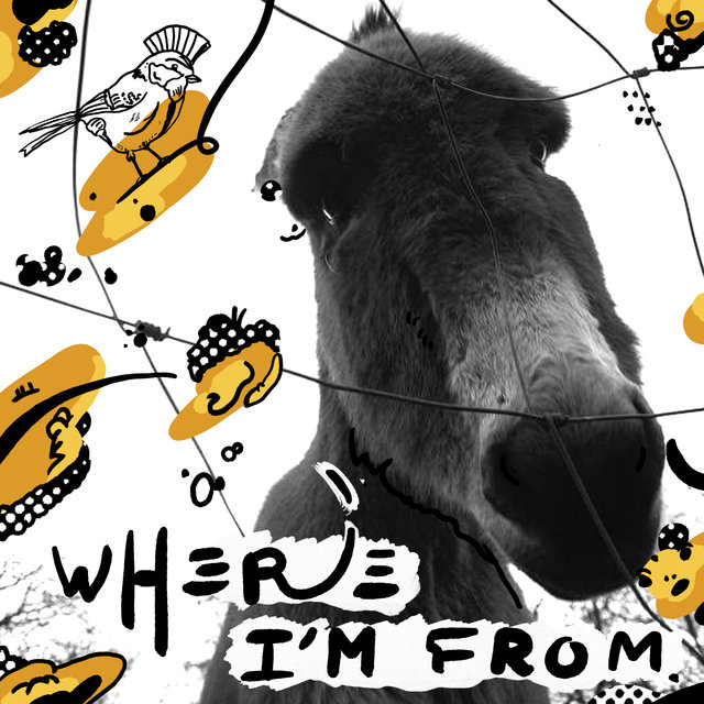 Couverture de Where I'm From