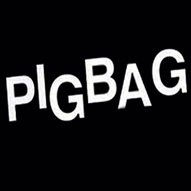 Couverture de Papa's Got a Brand New Pigbag