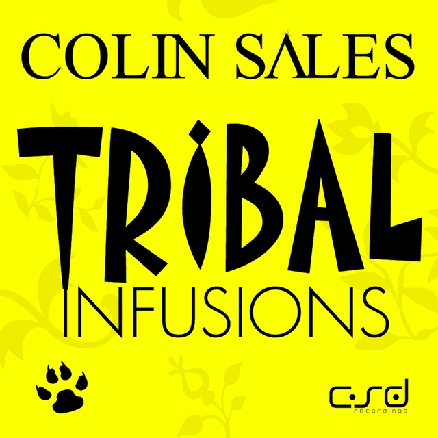 Couverture de Tribal Infusions