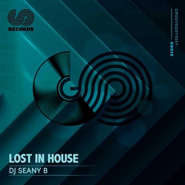 Couverture de Lost in the House