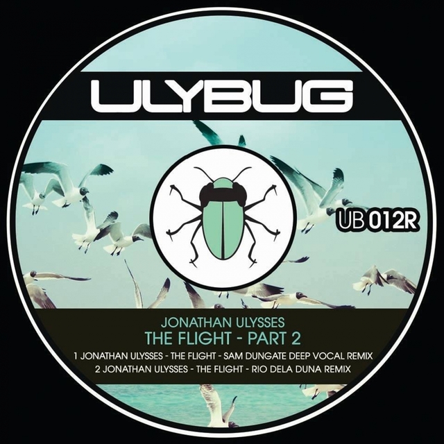 The Flight, Remixes