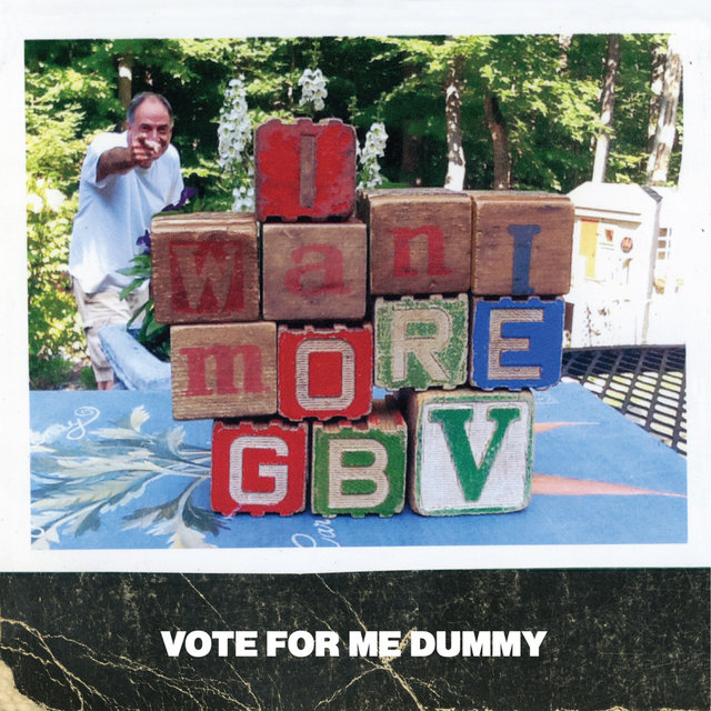 Vote for Me Dummy