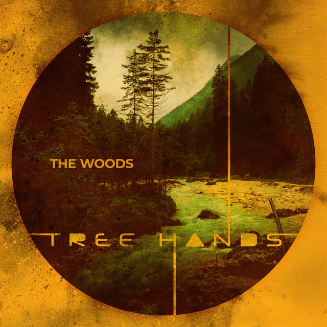 Couverture de The Woods