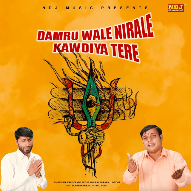 Couverture de Damru Wale Nirale Kawdiya Tere