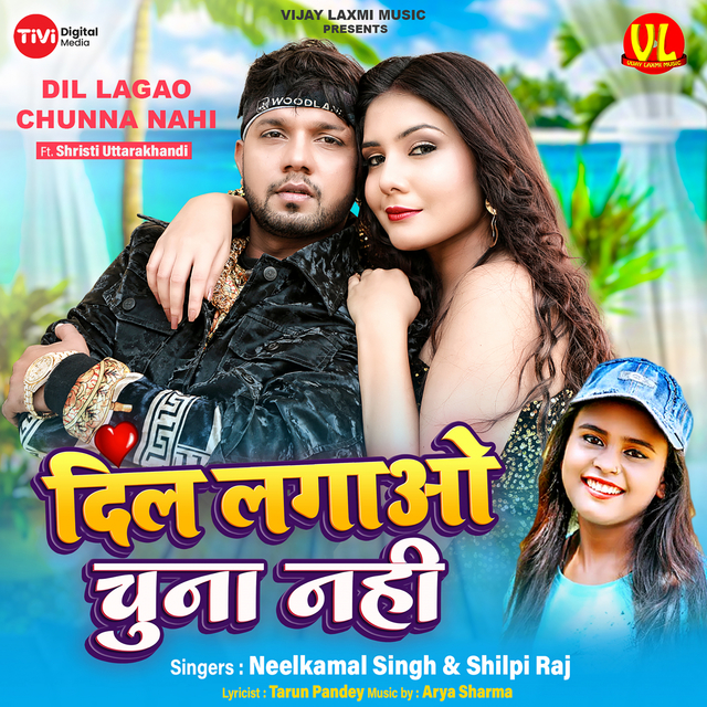 Couverture de Dil Lagao Chunna Nahi