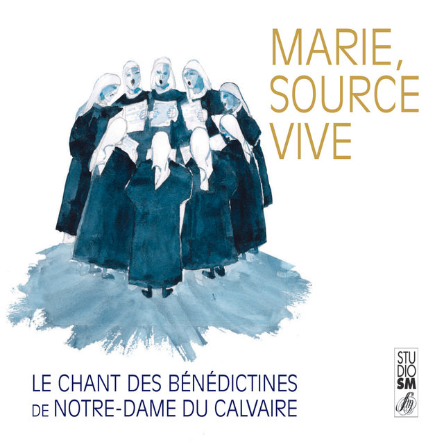 Couverture de Marie, source vive