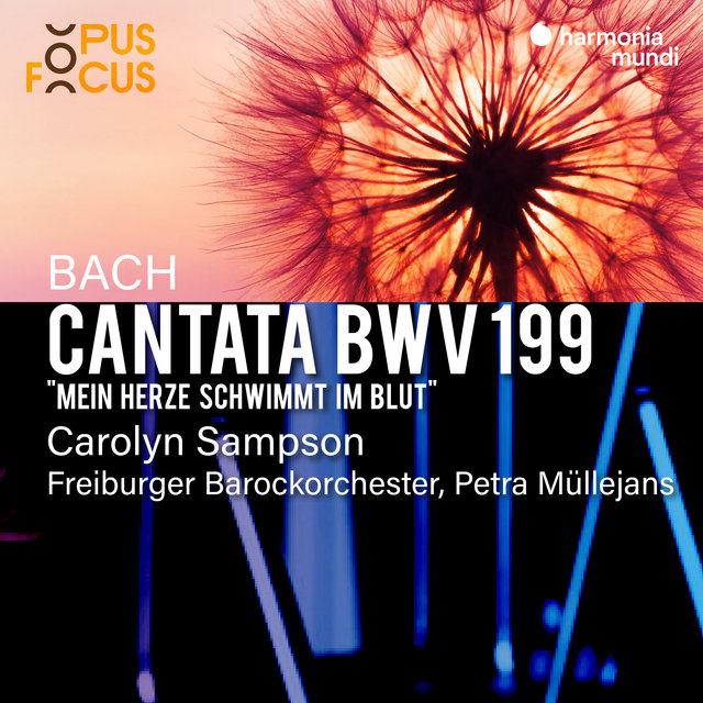 Couverture de Bach: Cantata, BWV 199