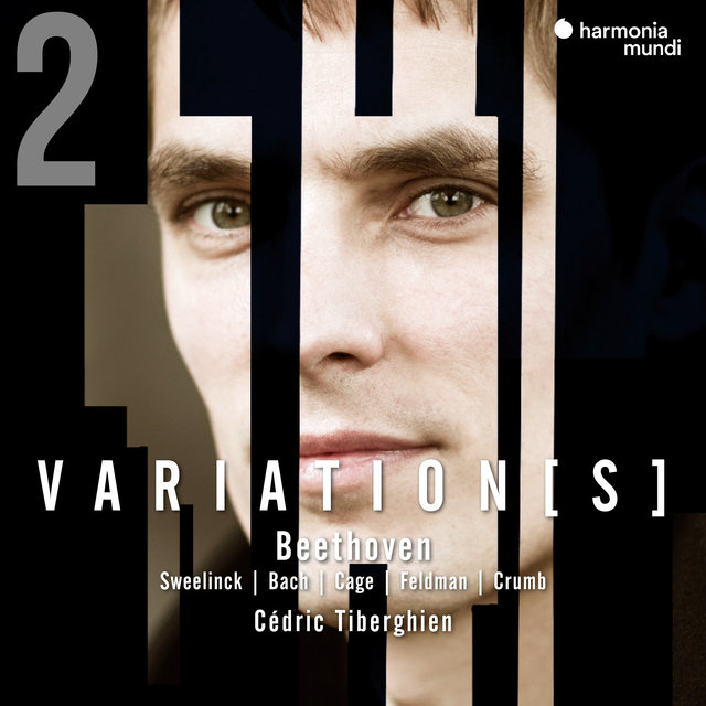 Couverture de Beethoven: Complete Variations for Piano, Vol. 2