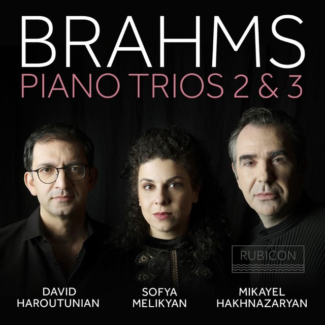 Couverture de Brahms: Piano Trios 2 & 3