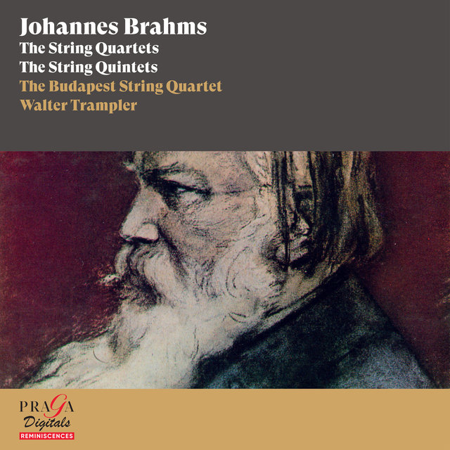 Couverture de Johannes Brahms: The String Quartets & The String Quintets