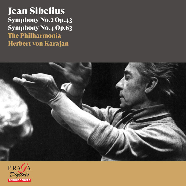 Couverture de Jean Sibelius: Symphonies No. 2 & No. 4