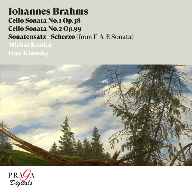 Couverture de Johannes Brahms: The Two Sonatas for Cello and Piano