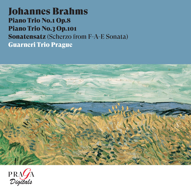 Couverture de Johannes Brahms: Piano Trios Nos. 1 & 3, Sonatenzatz
