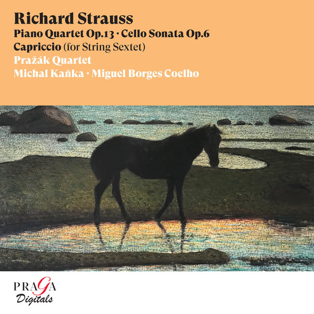 Couverture de Richard Strauss: Piano Quartet, Cello Sonata, Capriccio (String Sextet)