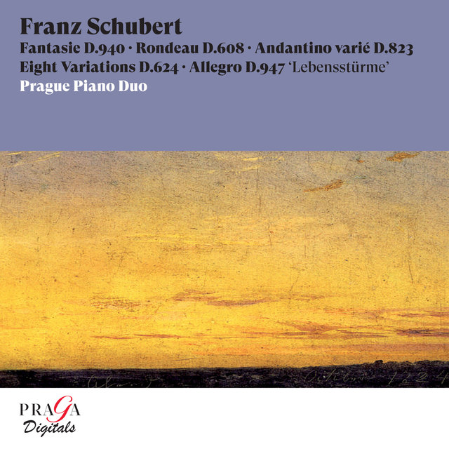 Couverture de Franz Schubert: Fantasie, D. 940, Rondeau, D. 608, Andantino varié, D. 823, Eight Variations, D. 624, Allegro, D. 947 "Lebensstürme"