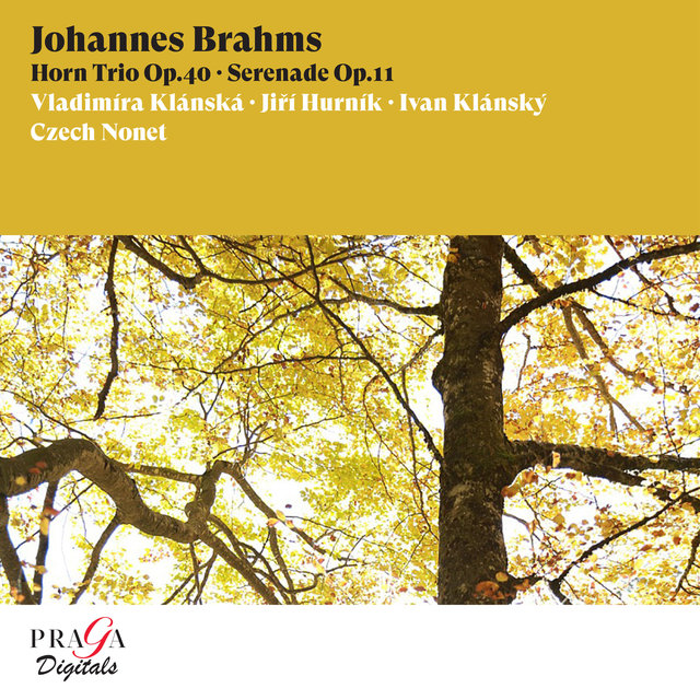 Couverture de Johannes Brahms: Horn Trio, Op. 40, Serenade, Op. 11