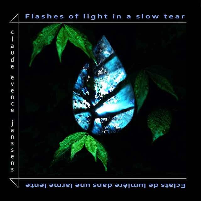 Couverture de Flashes of Light in a Slow Tear