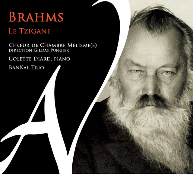 Couverture de Brahms, le Tzigane