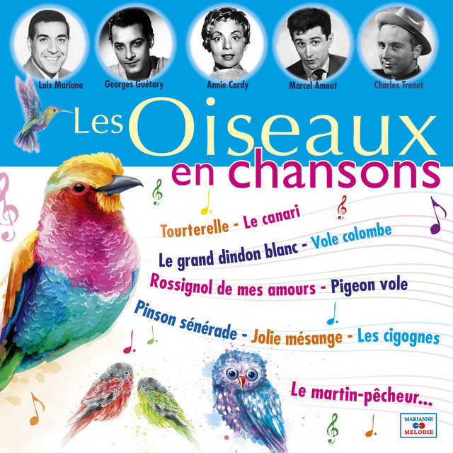 Couverture de Les oiseaux en chansons