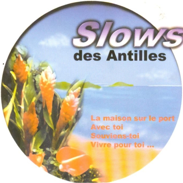 Slows des Antilles, vol. 3