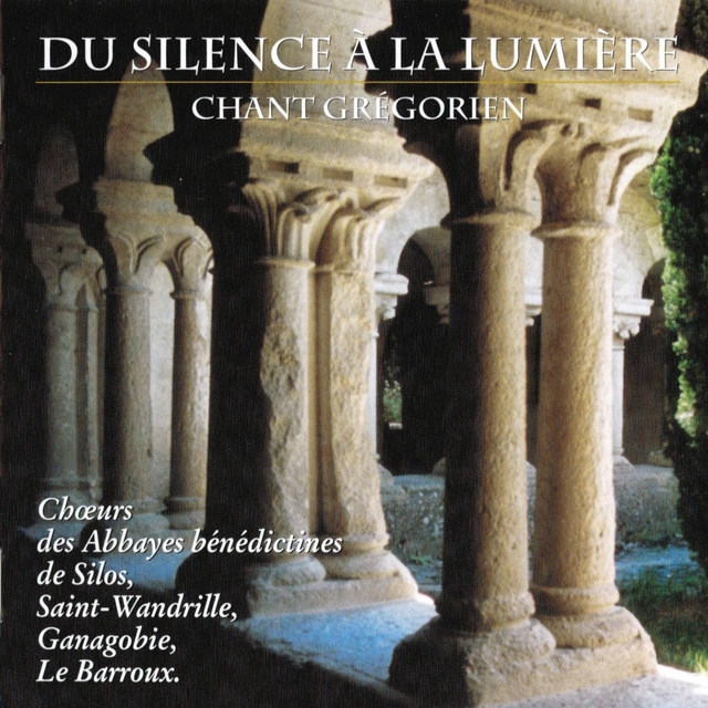 Couverture de Du silence à la lumière