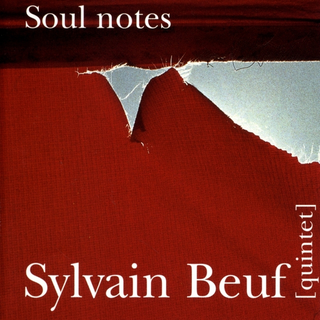 Couverture de Soul Notes