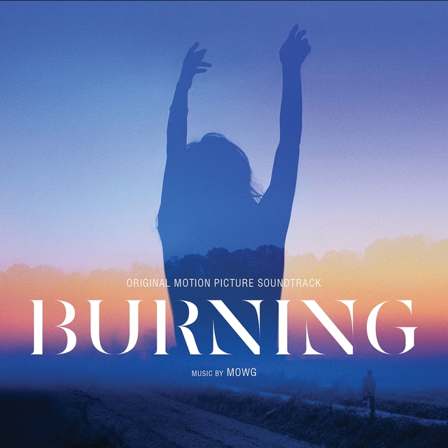 Couverture de Burning