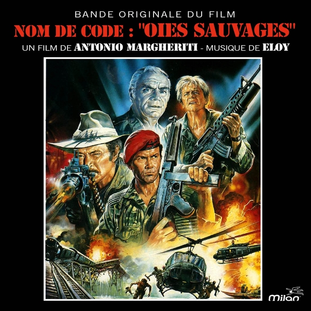 Couverture de Nom de code: Oies sauvages