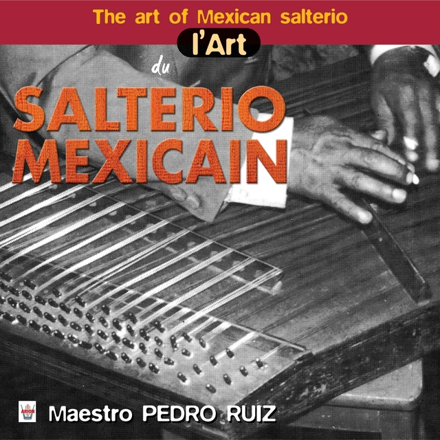 Couverture de L'Art du salterio mexicain