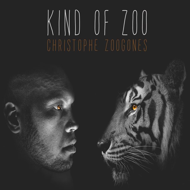 Kind of Zoo