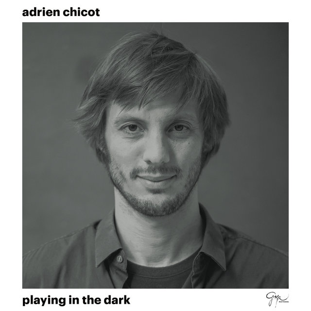 Couverture de Playing in the Dark