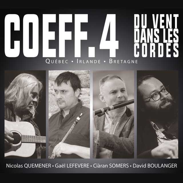 Du vent dans les cordes