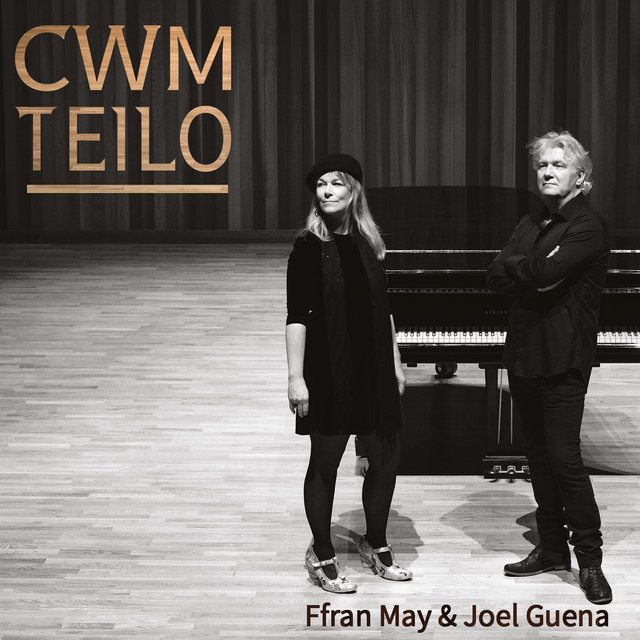 Couverture de Cwm Teilo