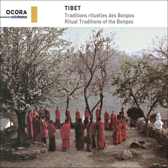 Couverture de Tibet