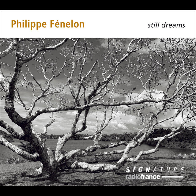 Philippe Fénelon - still dreams