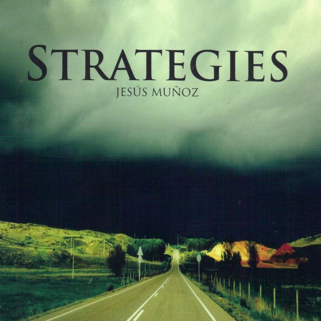 Couverture de Strategies