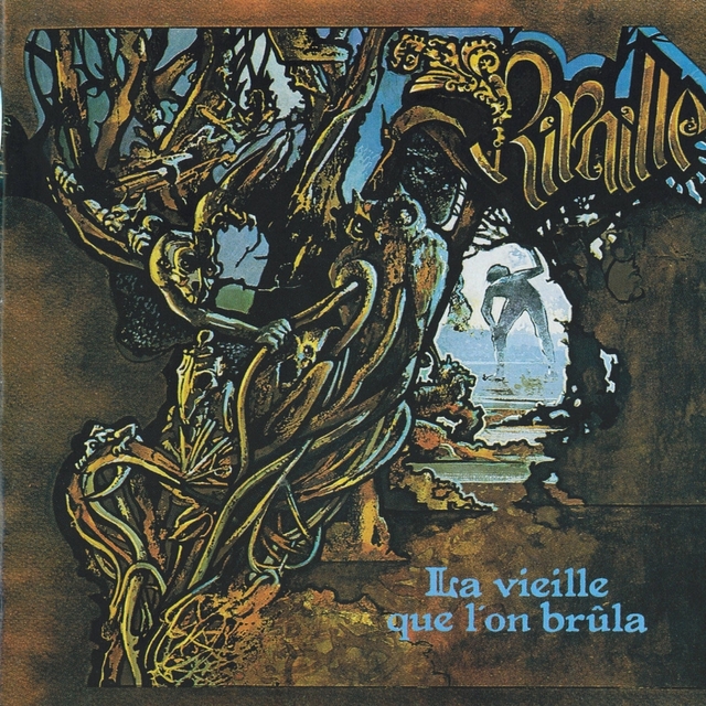 Couverture de La vieille que l'on brûla...