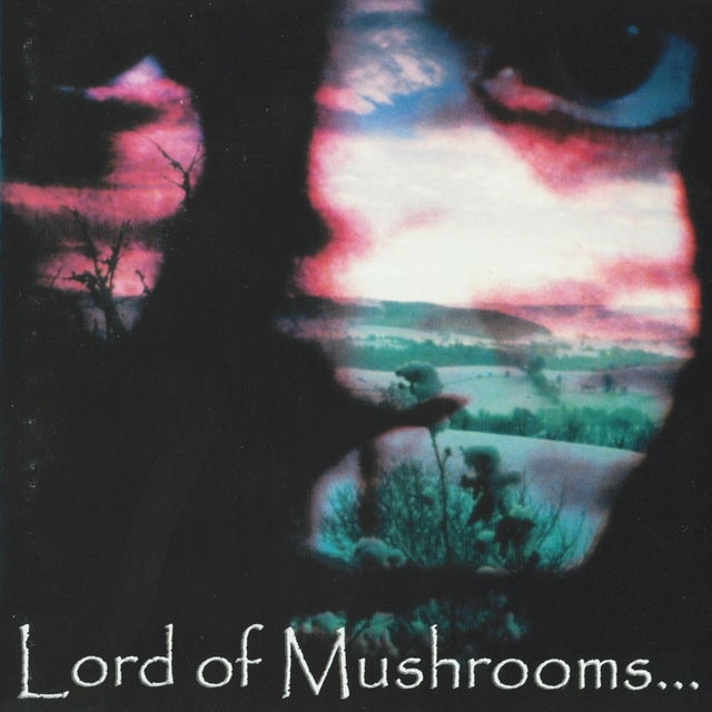 Couverture de Lord of Mushrooms