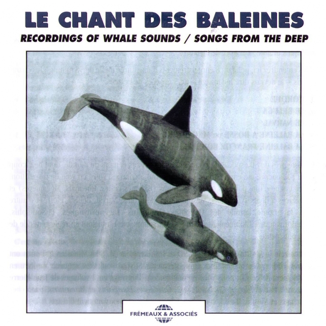 Couverture de Le chant des baleines - Recordings of Whale Sounds