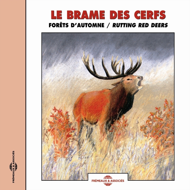 Couverture de Le brame des cerfs