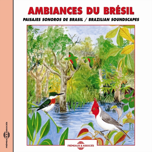 Ambiances du Brésil - Brazilian Soundscapes