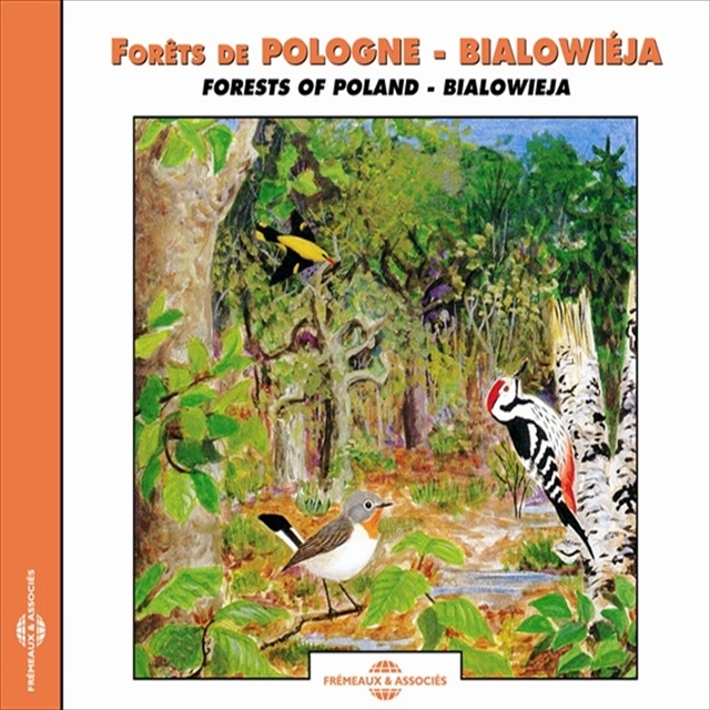 Couverture de Forêts de Pologne - Bialoweja Forests of Poland