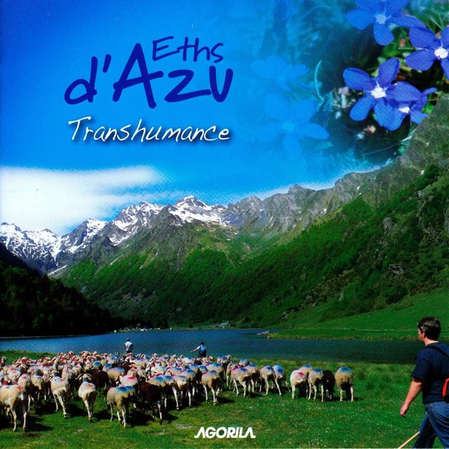 Couverture de Transhumance