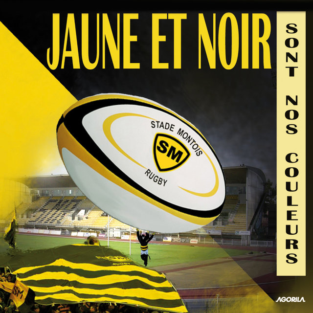 Jaune et noir sont nos couleurs (Stade Montois Rugby)