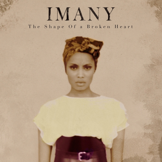 Couverture de The Shape of a Broken Heart