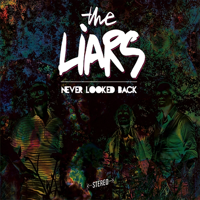 Couverture de Never Looked Back