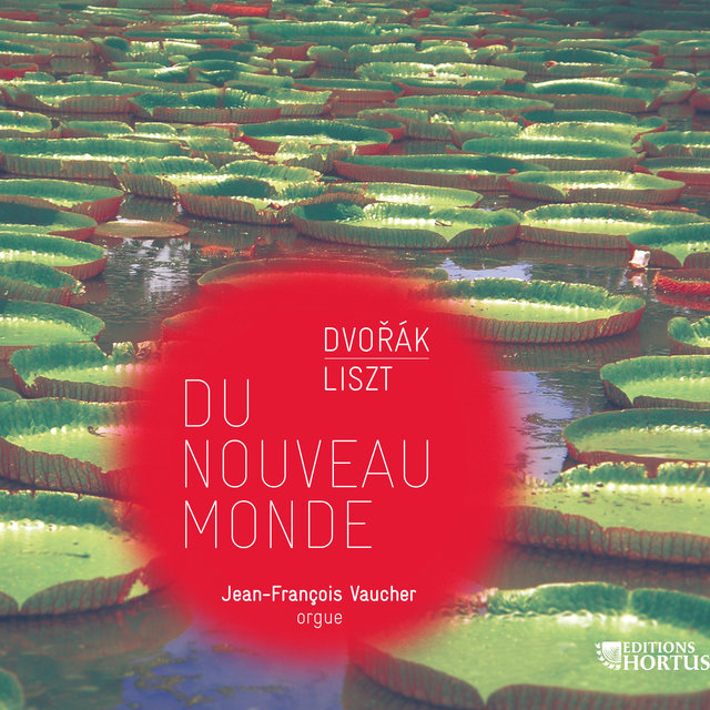 Couverture de Dvořák & Liszt: Du Nouveau Monde (Transcriptions for Organ)