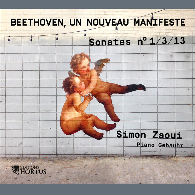 Couverture de Beethoven, un nouveau manifeste