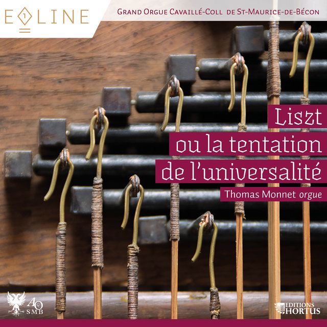 Couverture de Liszt ou la tentation de l'universalité